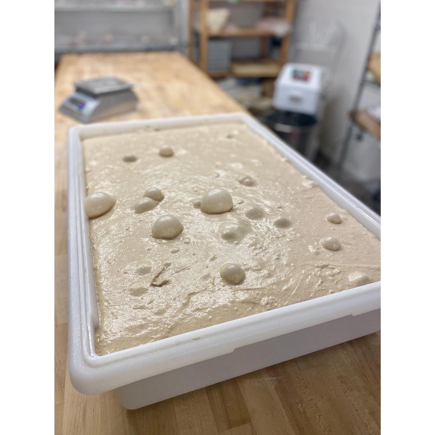 Late summer dough is fermentlicious&hellip; Bread is live this week for Porch Pickup on Wednesday &amp; Friday. Link in bio for preorders!