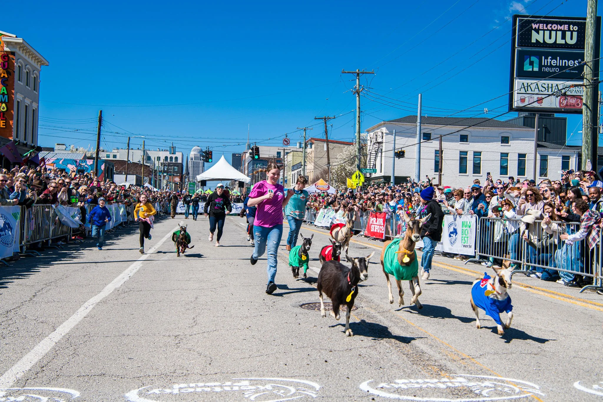 Your Ultimate Guide to N﻿uLu Bock Fest