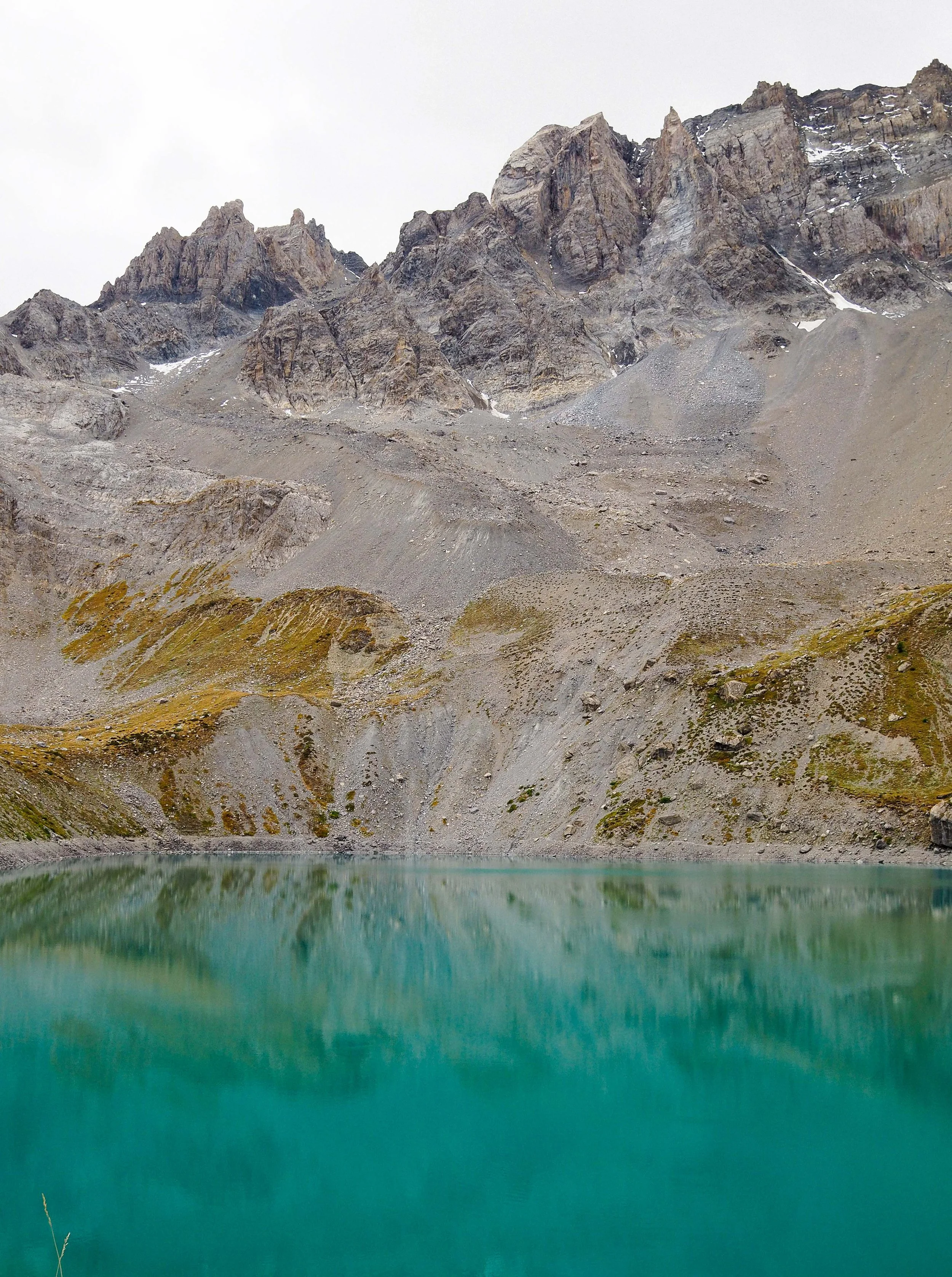 P1011554.jpg
