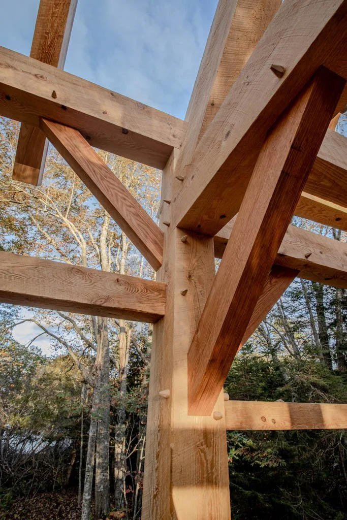 Close-up of timber frame construction with wooden beams and pegs, set against a background of trees and blue sky.