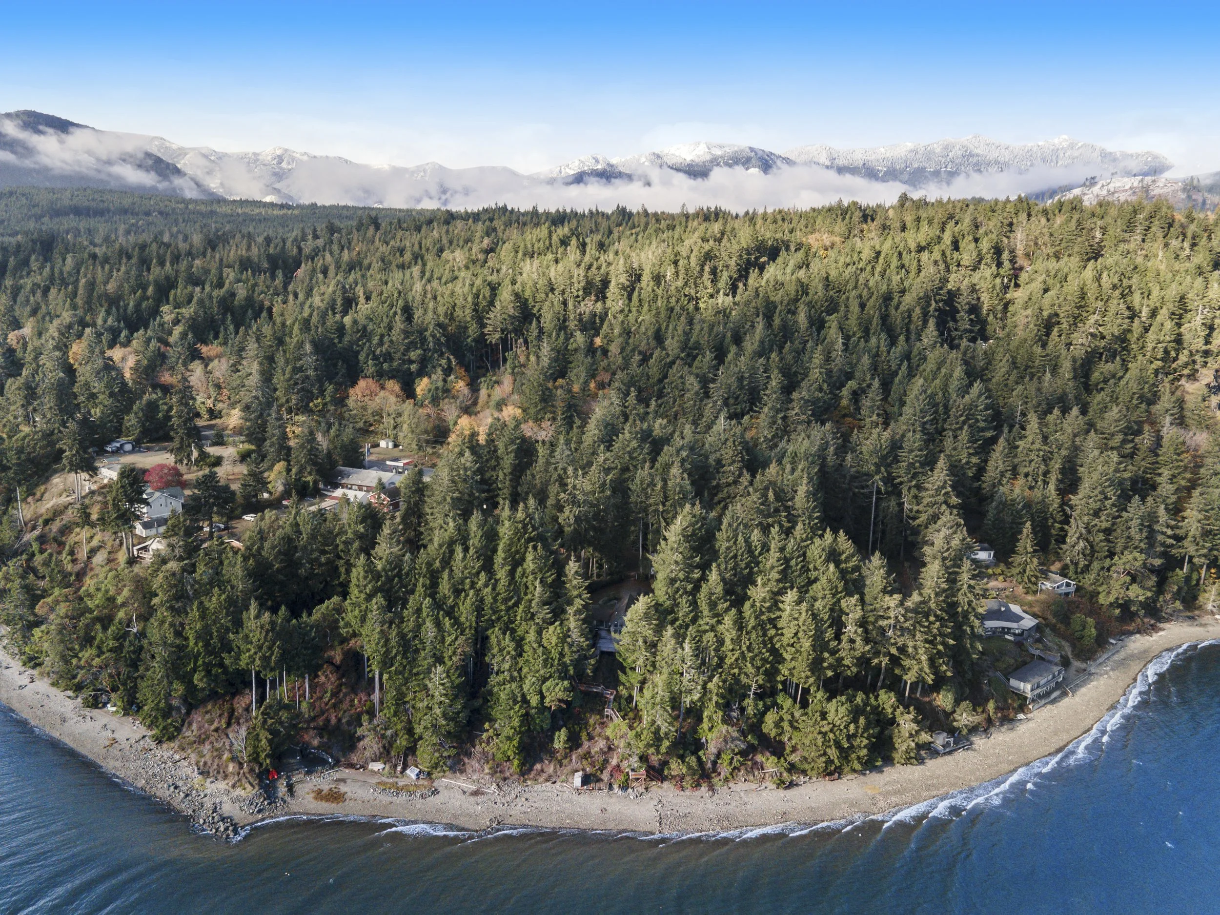 Olympic National Park - WA.jpg