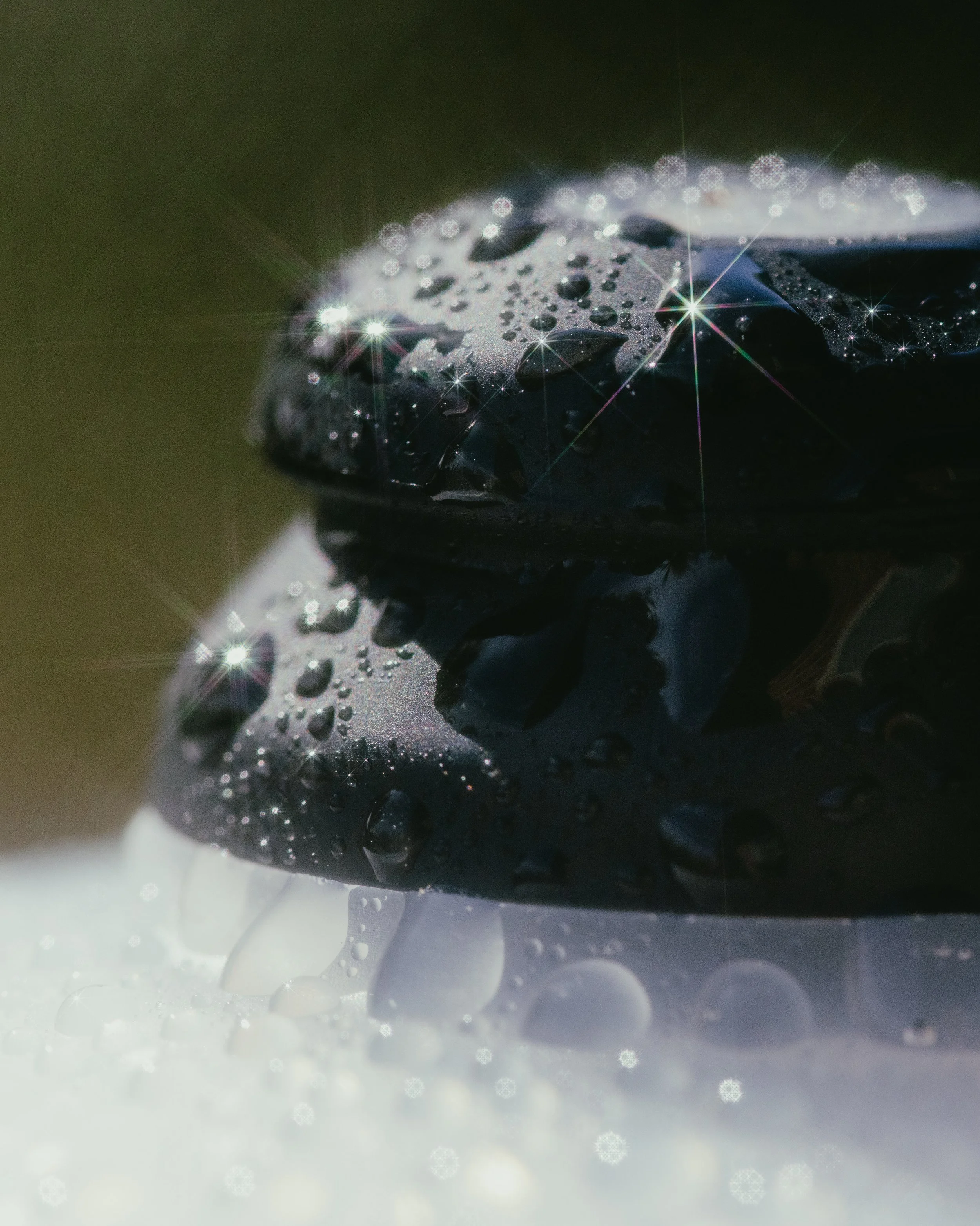 2026 — LW Merch — Edits-6.jpg