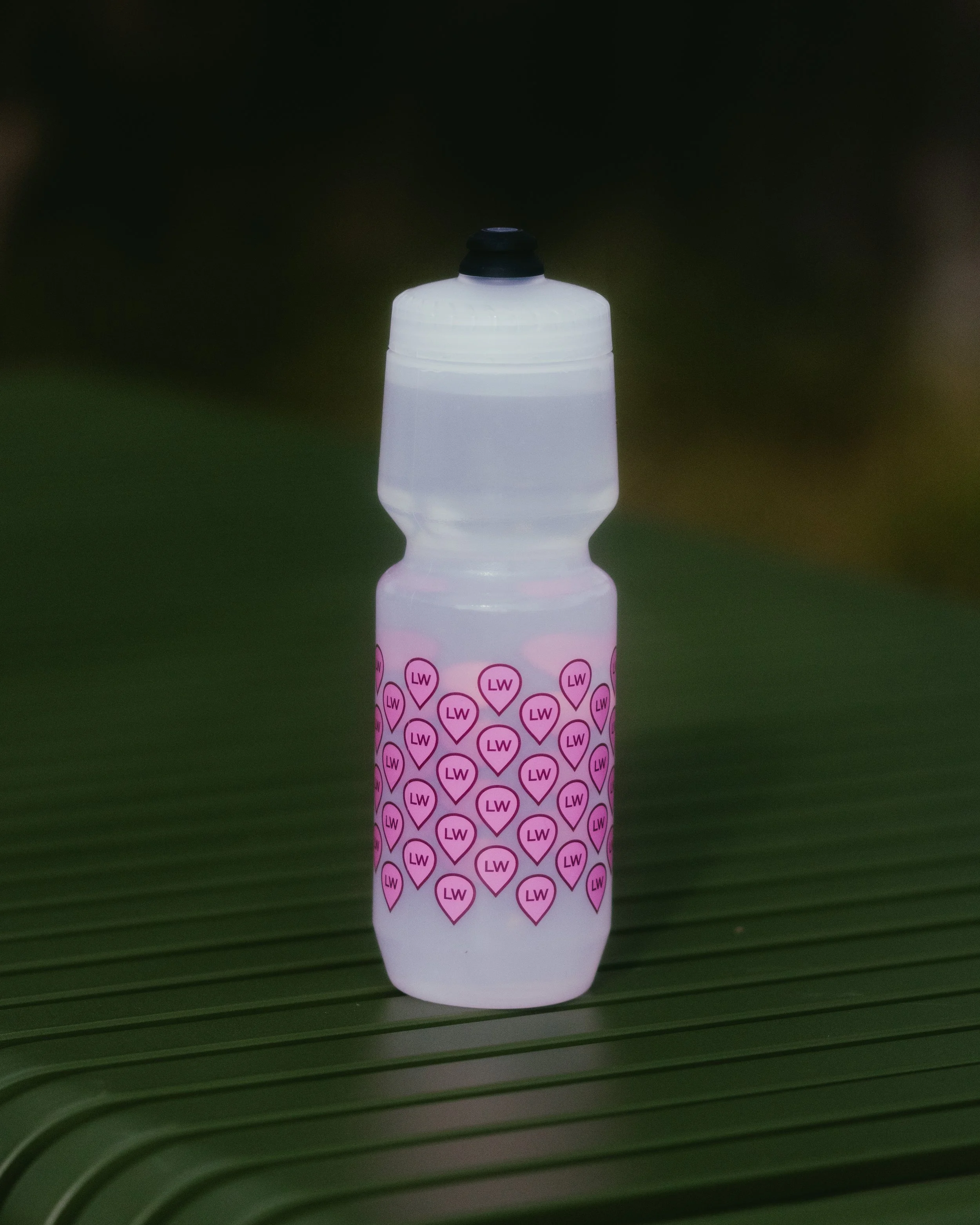 2026 — LW Merch — Edits-28.jpg