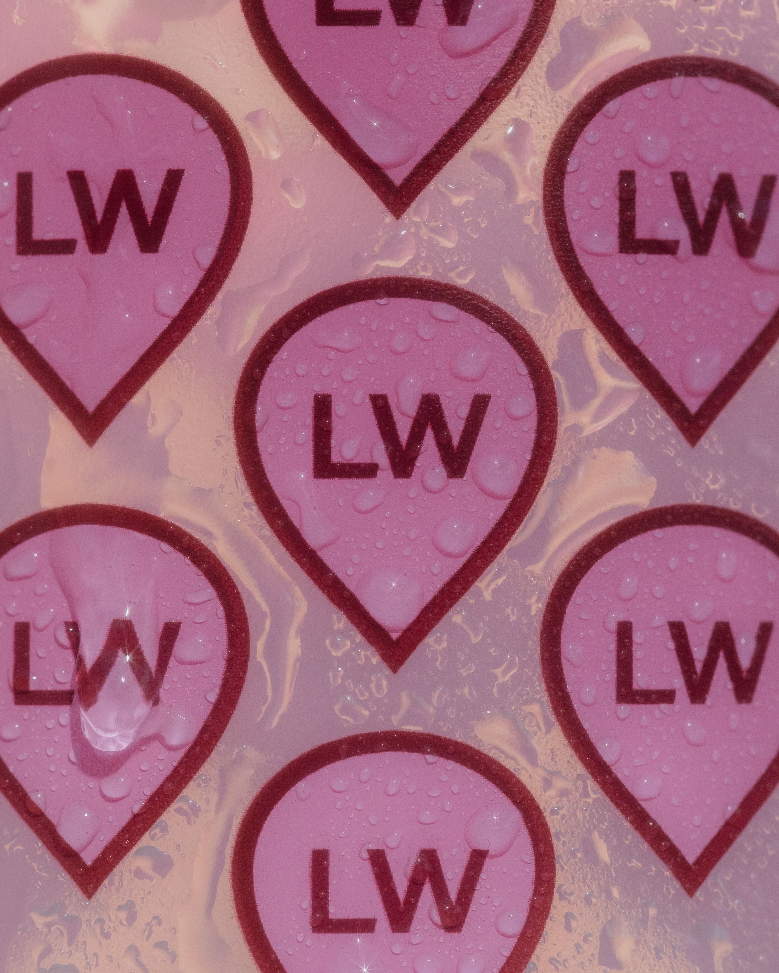 2026 — LW Merch — Edits-4.jpg