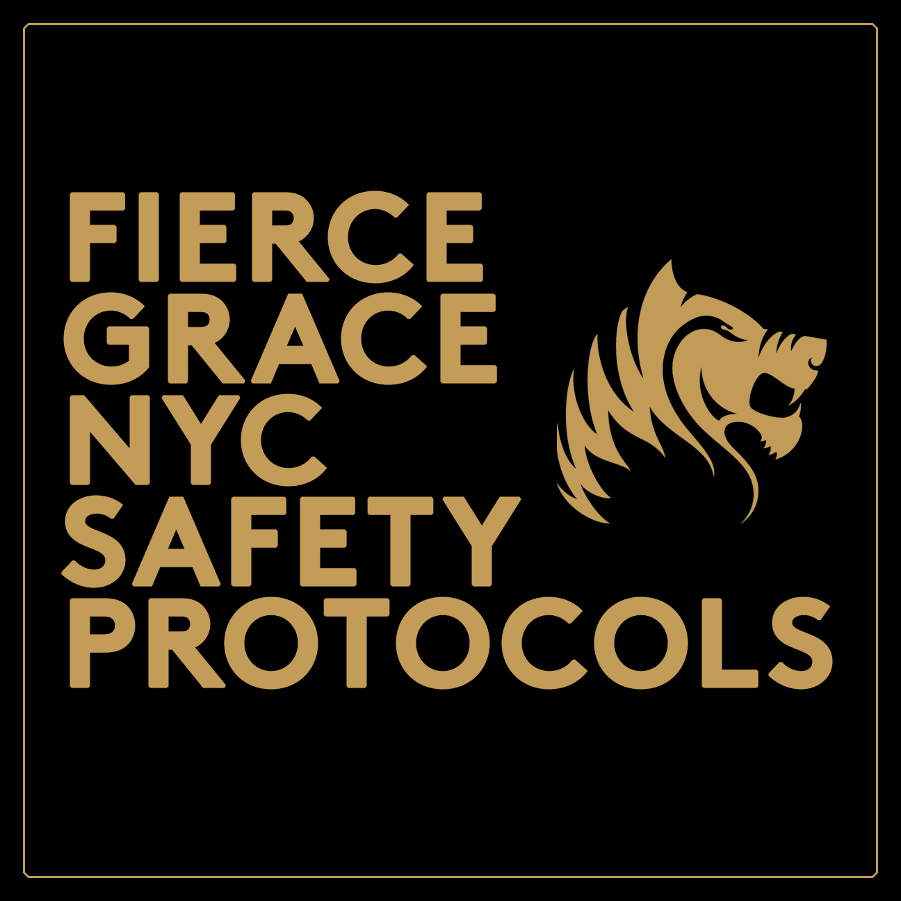 safety pro. new.gif