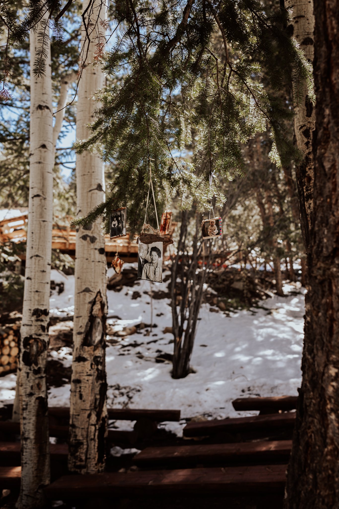 Deer Creek Mountain Camp