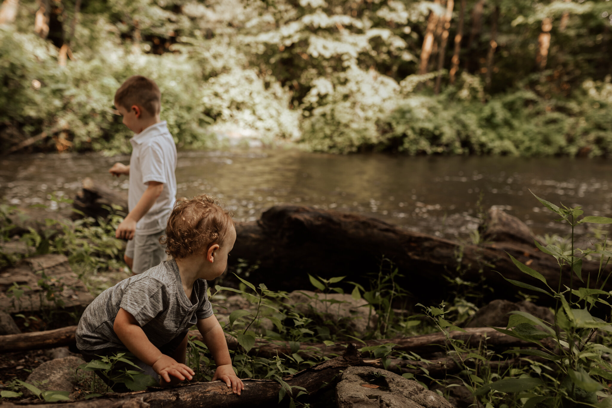 Chloe and Family session Akron Falls Park Akron New York Colorado Family Photographer Colorado Springs Vintage Violets Photography 12021.jpg