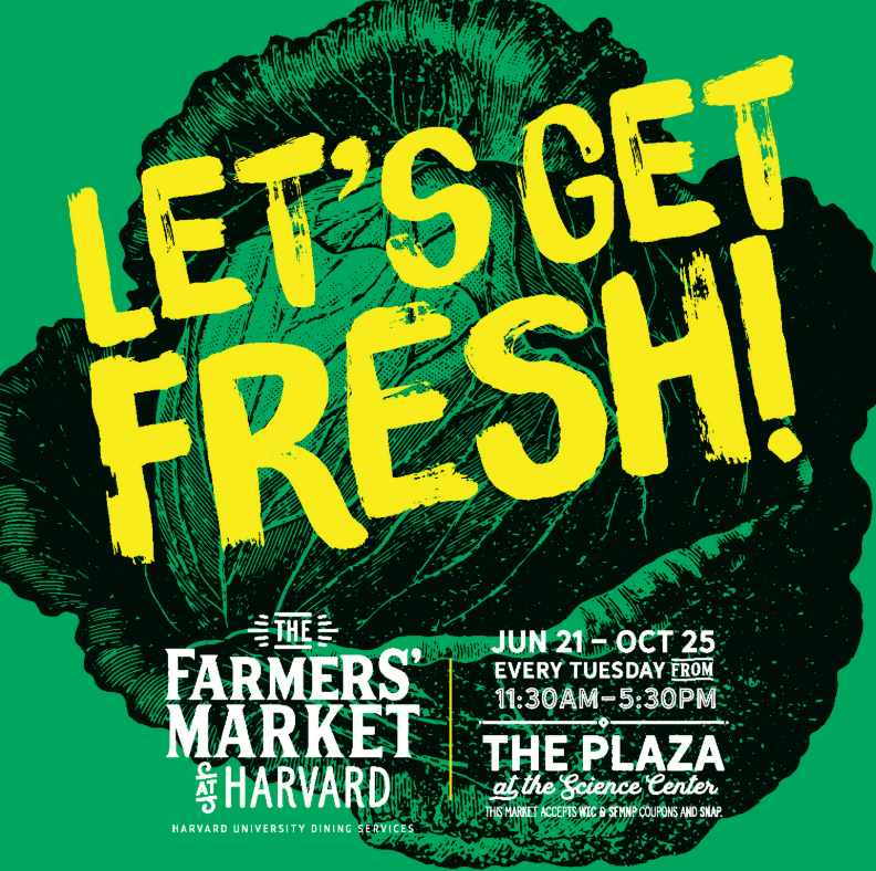Harvard Plaza Open Market