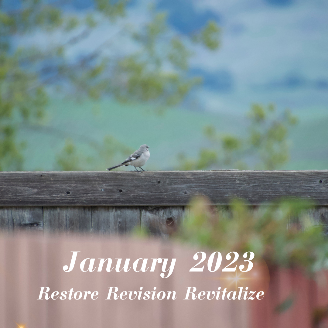 Restore, Revision, Revitalize 