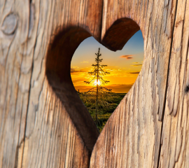 Your Spiritual Heart 