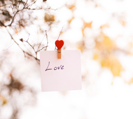 Love Notes 
