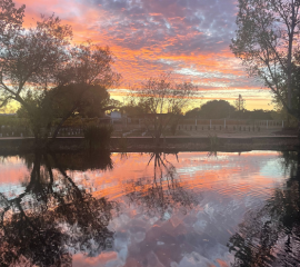 Reflection