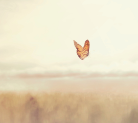 To Be In The Moment 