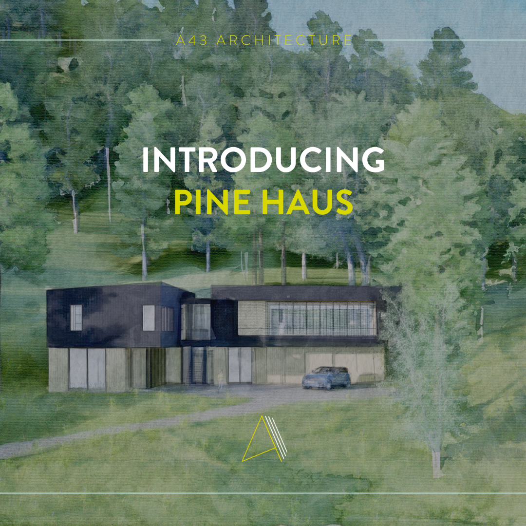 Introducing Pine Haus