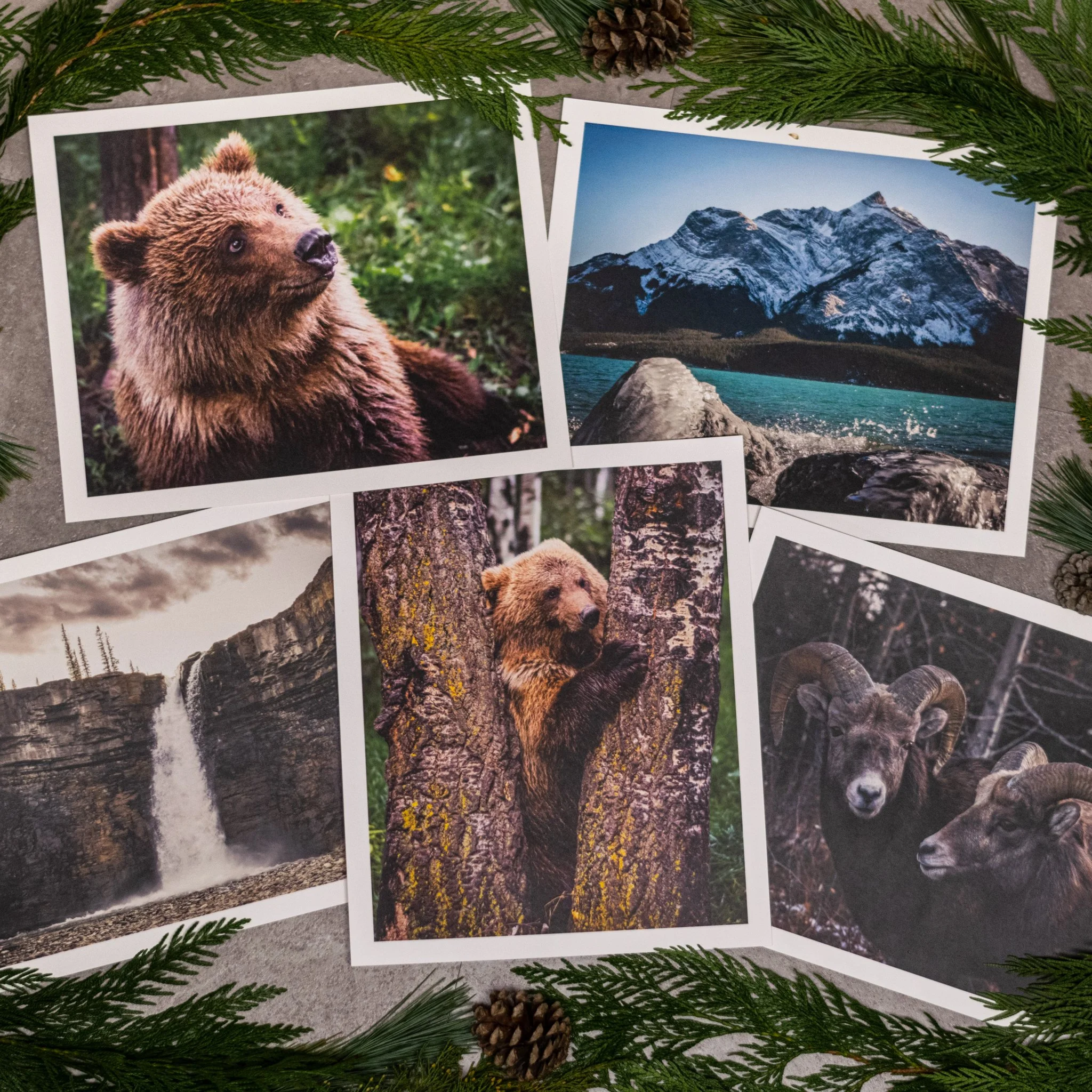 Browse Prints
