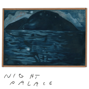 Mount Eerie’s Night Palace: a birdwatcher’s poetry.