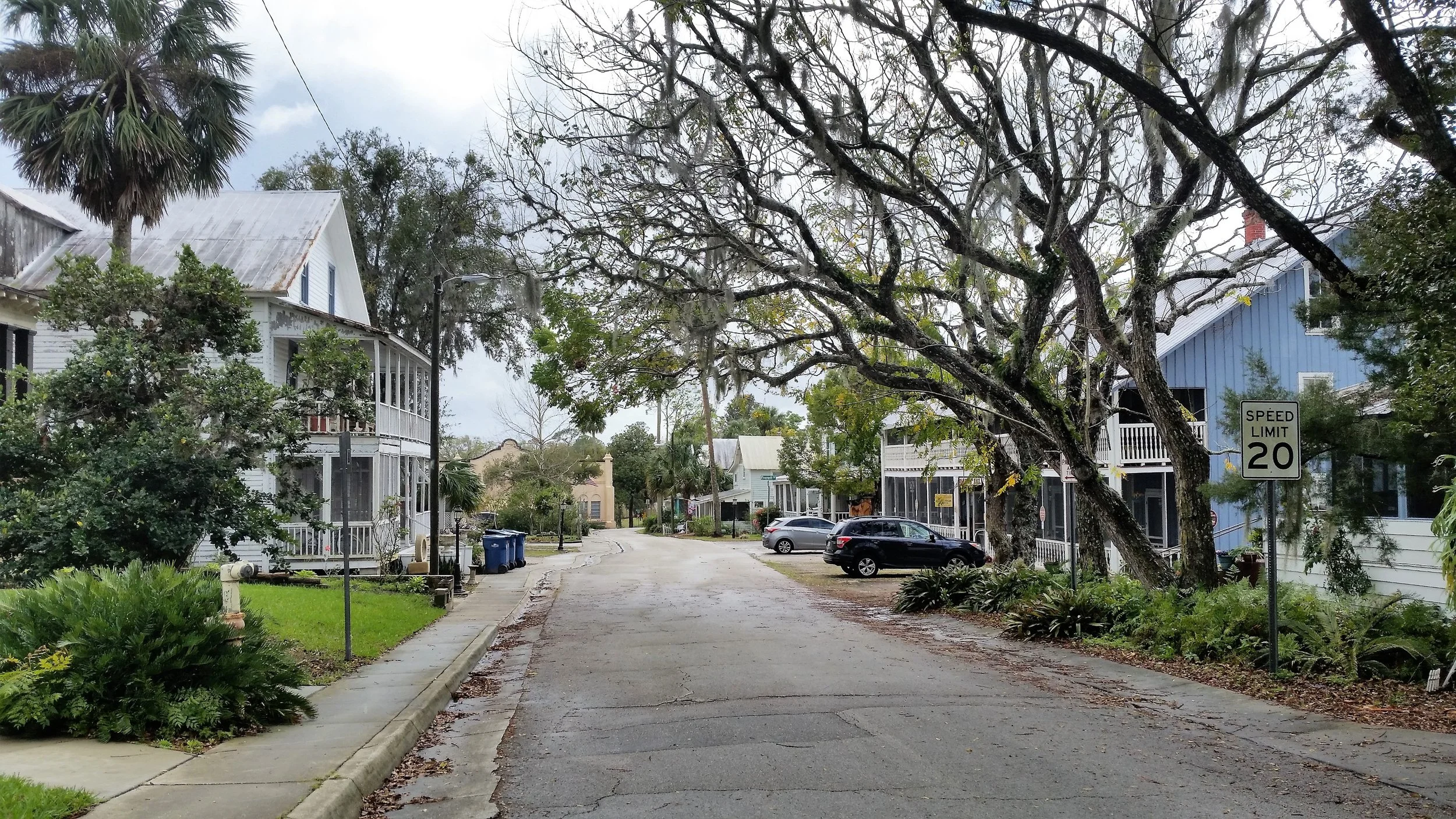Cassadaga Rows of Houses.jpeg