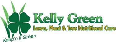 Kelly Green Lawn