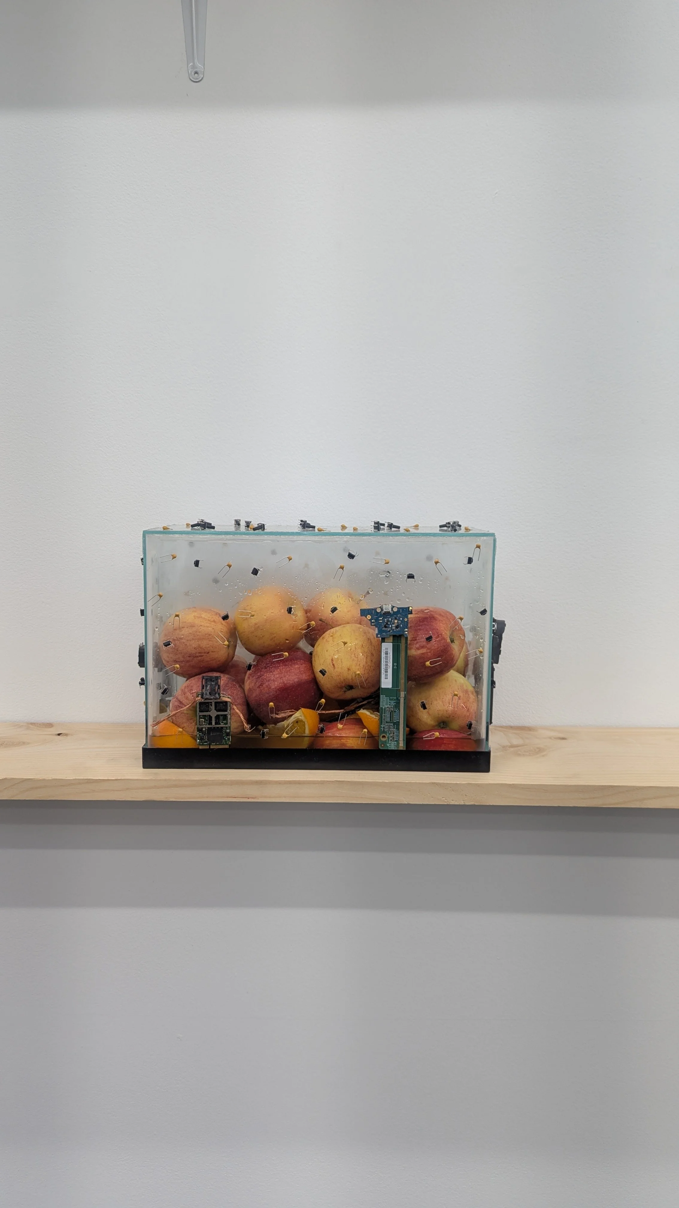 The Blood of St. Whitney, 2025 Glass, silicone, circuit strips, copper wire, Ceramic capacitors, cell phone, USB, apples, oranges, honey 10¾ x 16½ x 8¾ in. 27.30 x 41.91 x 22.23 cm