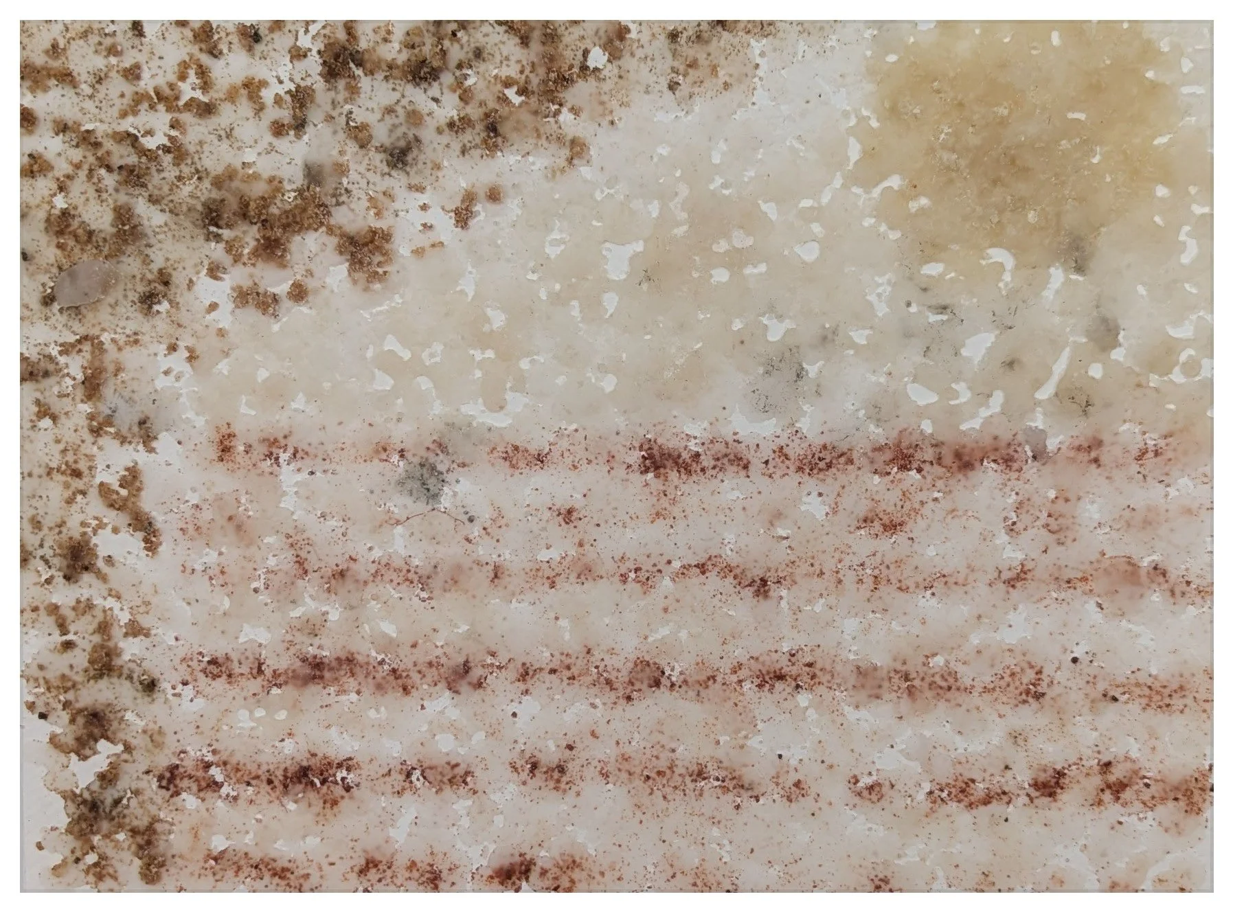 Slice (Mono No Aware), 2025 flour, sugar, cookie crumble, crushed red pepper, wax on paper 9 x 12 x 1 in. 22.86 x 30.48 x 2.54 cm