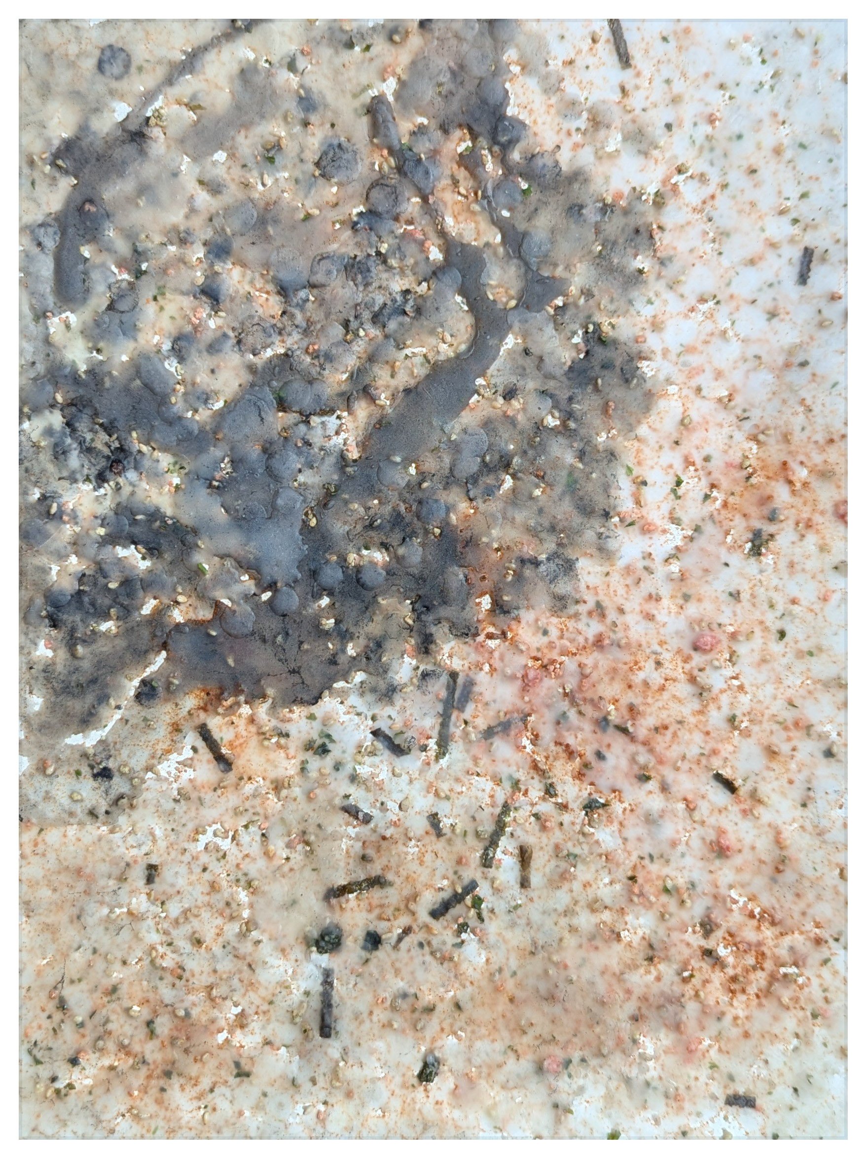 My Pink + Blue is Too (Mono No Aware), 2025 Ebi Fumi Furikake, Nori Kumi Furikake, Paprika, Wax on Paper 12 x 9 x 1 in. 30.48 x 22.86 x 2.54 cm