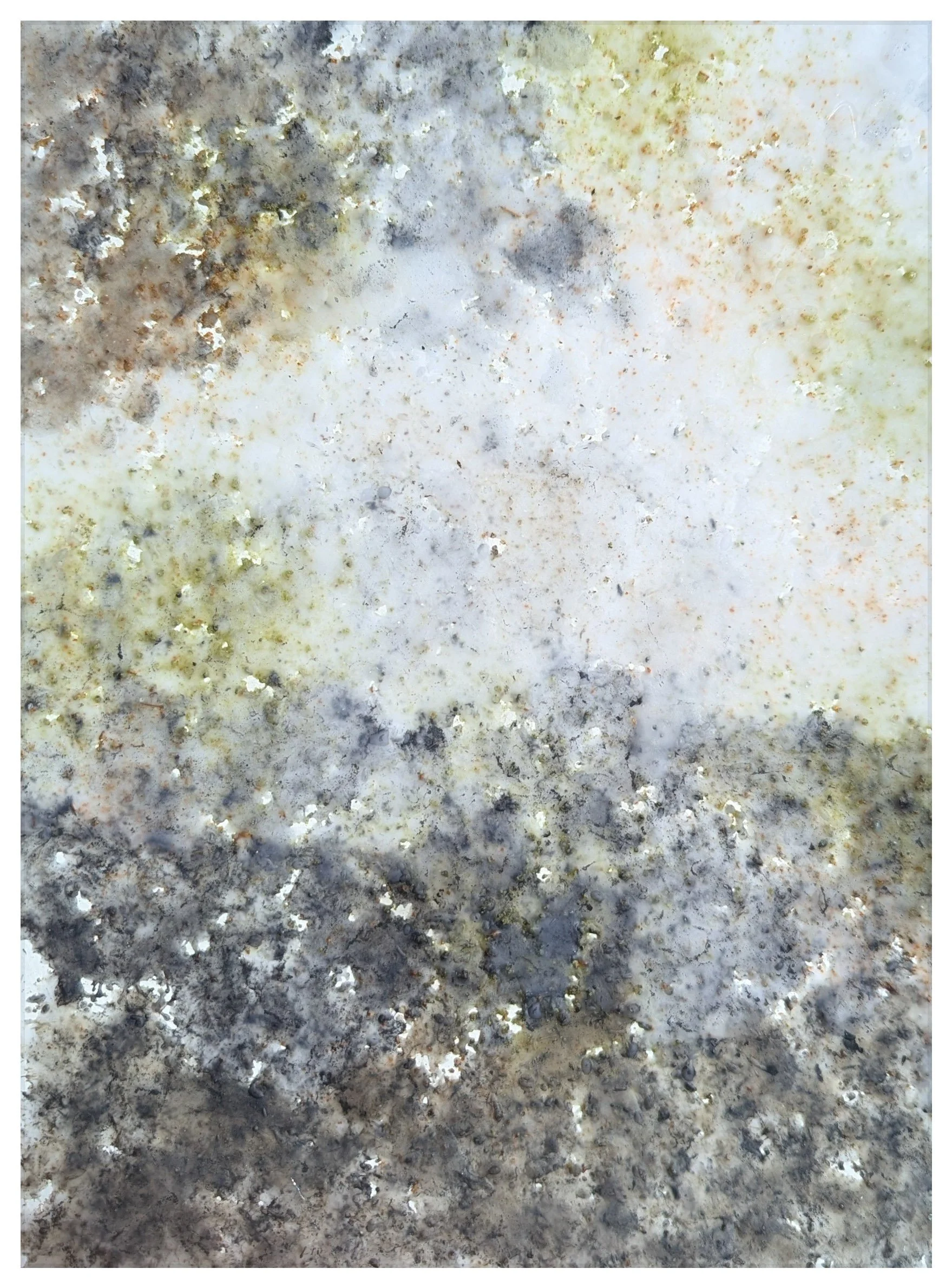 Problem Solver (Mono No Aware), 2025 Matcha, Black Pepper, Cajun Seasoning, Wax on Paper 12 x 9 x 1 in. 30.48 x 22.86 x 2.54 cm