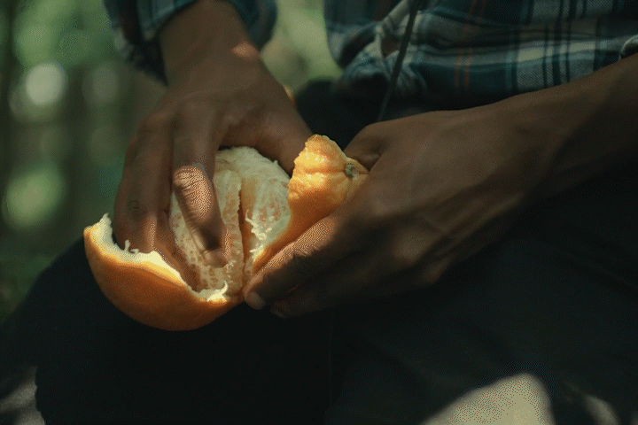 THE SUN WON'T FORGET A VILLAGE