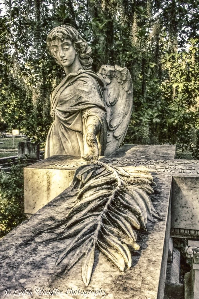 P9290066_HDR.jpg