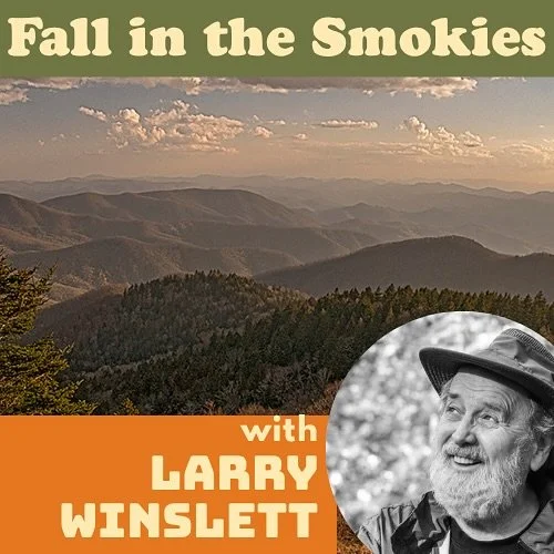 *THIS WEEKEND*  Join us with the amazing @larrywinslett as ASOP heads to the Smokies!

Larry&rsquo;s classes and workshops are always designed for easy  participation by people of all physical abilities and photographic skill  levels.

This workshop 