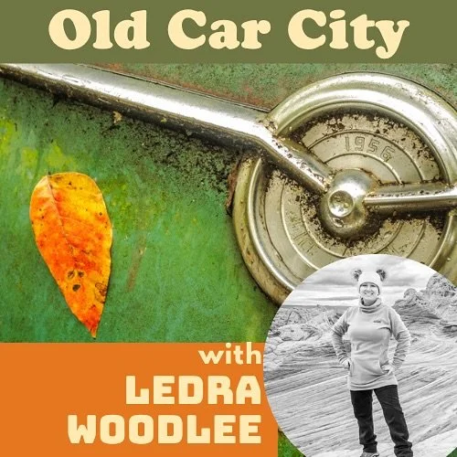 November 15 🛻Join us for a fun and unusual photography experience at Old Car City with @daviswoodlee 

 You will be led through a maze of rusty nuts, bolts and the ghosts of cars past.  You will learn to look at photography differently and will be a