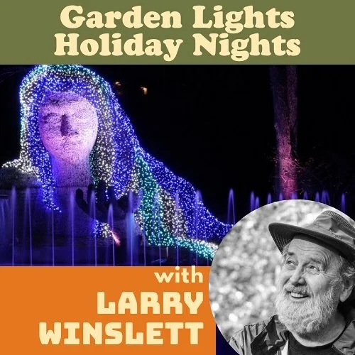 November 24th🚦Join us this season at one of Atlanta’s favorite holiday experiences, the fantastical event photographers wait for all year, Atlanta Botanical Garden Lights!
This annual electrical extravaganza features spectacular light display