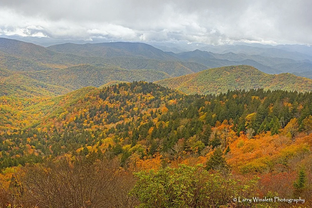 Check out these amazing photos by our talented instructor @larrywinslett at our Fall in the Smokies Workshop!
We have several opportunities to learn with Larry the next couple of months. From capturing the colors of the Nantahala to enjoying the hol