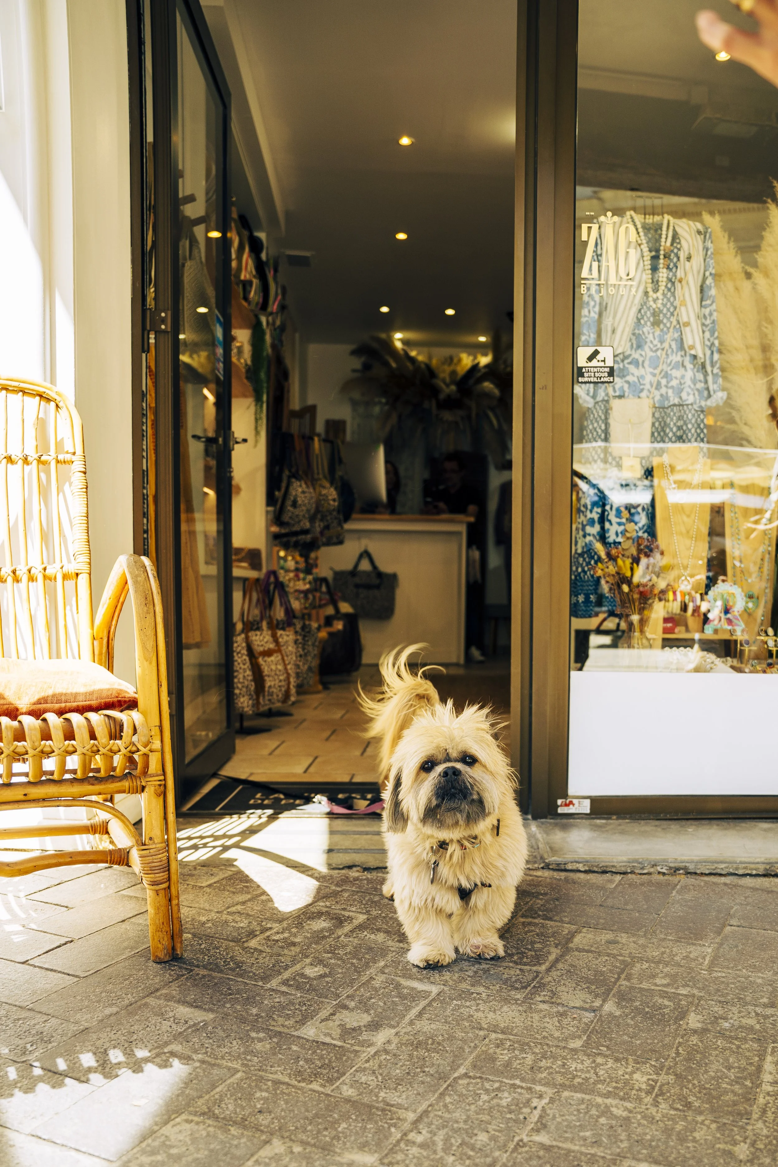 ProvenceFinalsSMALL-12.jpg