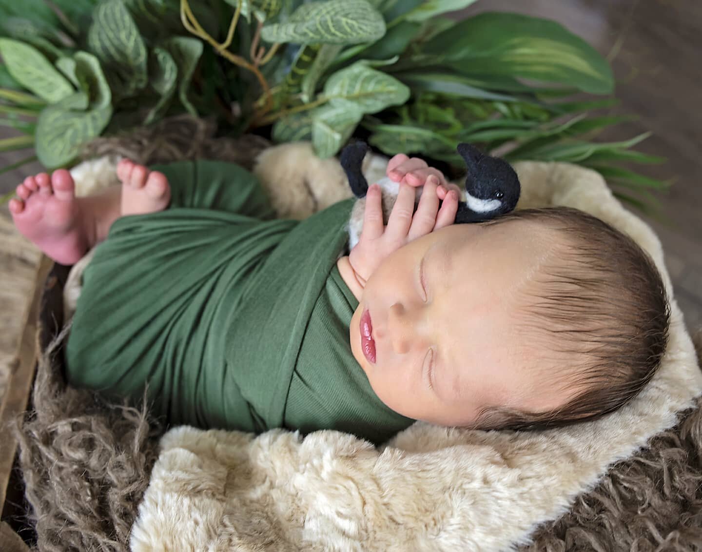 Look how sweet baby W is 😍 
He was such a little chatter box while he was snoozing. 
I'm convinced he was dreaming about hunting geese with dad. 

#babyboy 
#newbornphotography 
#newbornphotoshoot 
#futurehunter 
#geesehunting 
#snakessnailsandpuppy