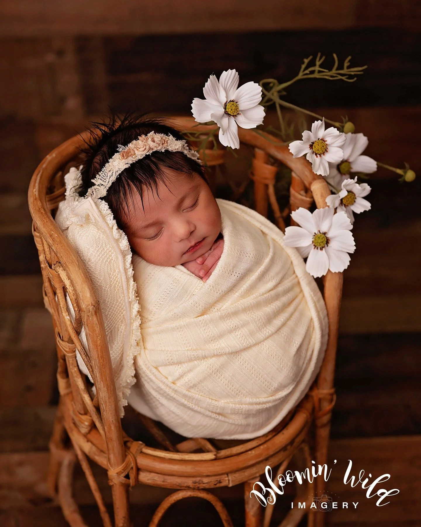 Welcome to the world, sweet baby Alanna 🤍

#newborn
#newbornphotography
#babygirl
#nebraskanewbornphotographer