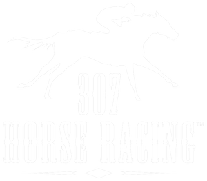 Historic Horse Racing — 307 Horse Racing