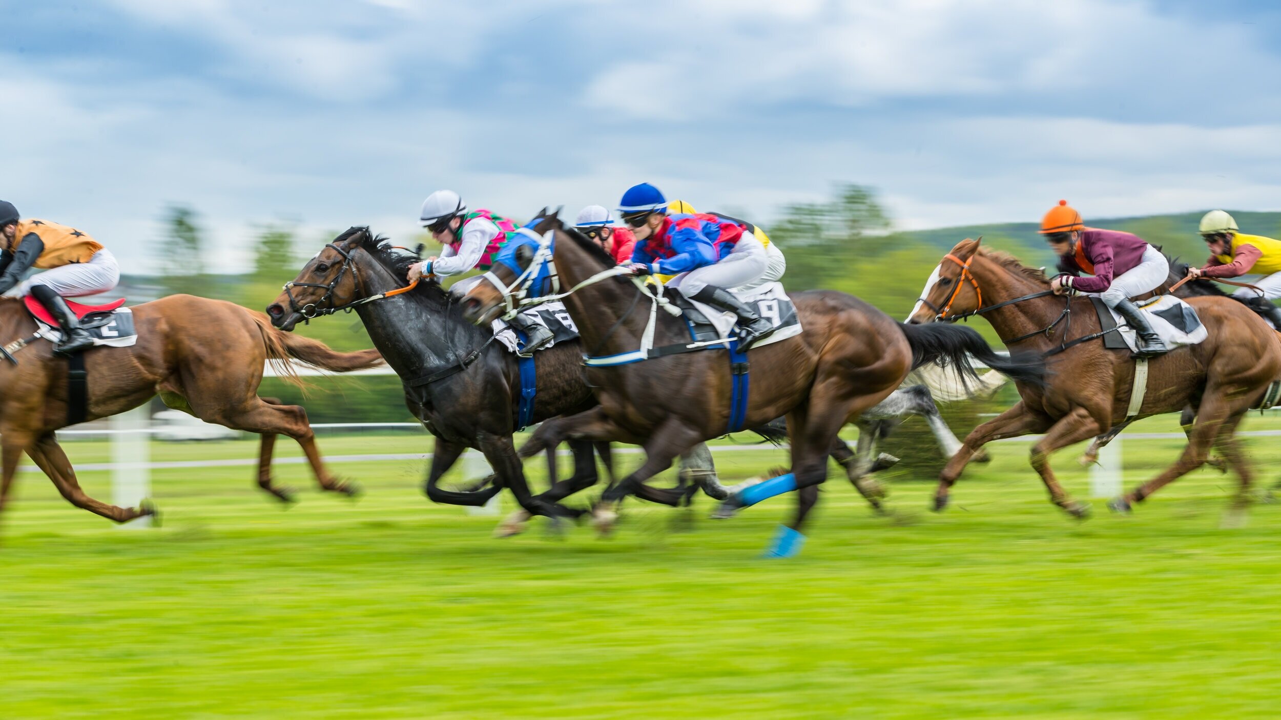 Horse Stalls — 307 Horse Racing