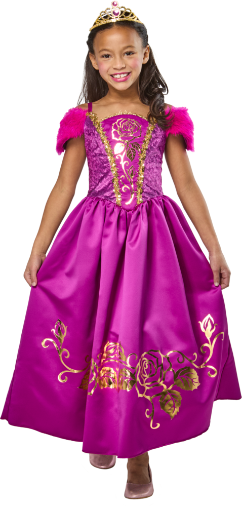 print-chunk66315c26f09e3-amethystgemstoneprincess.png