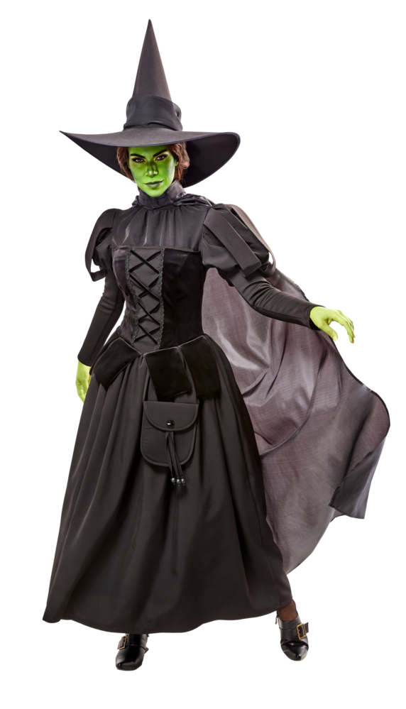 print-chunk653137d5e5abc-1001181-wicked-witch-w-makeup_9196-main.png