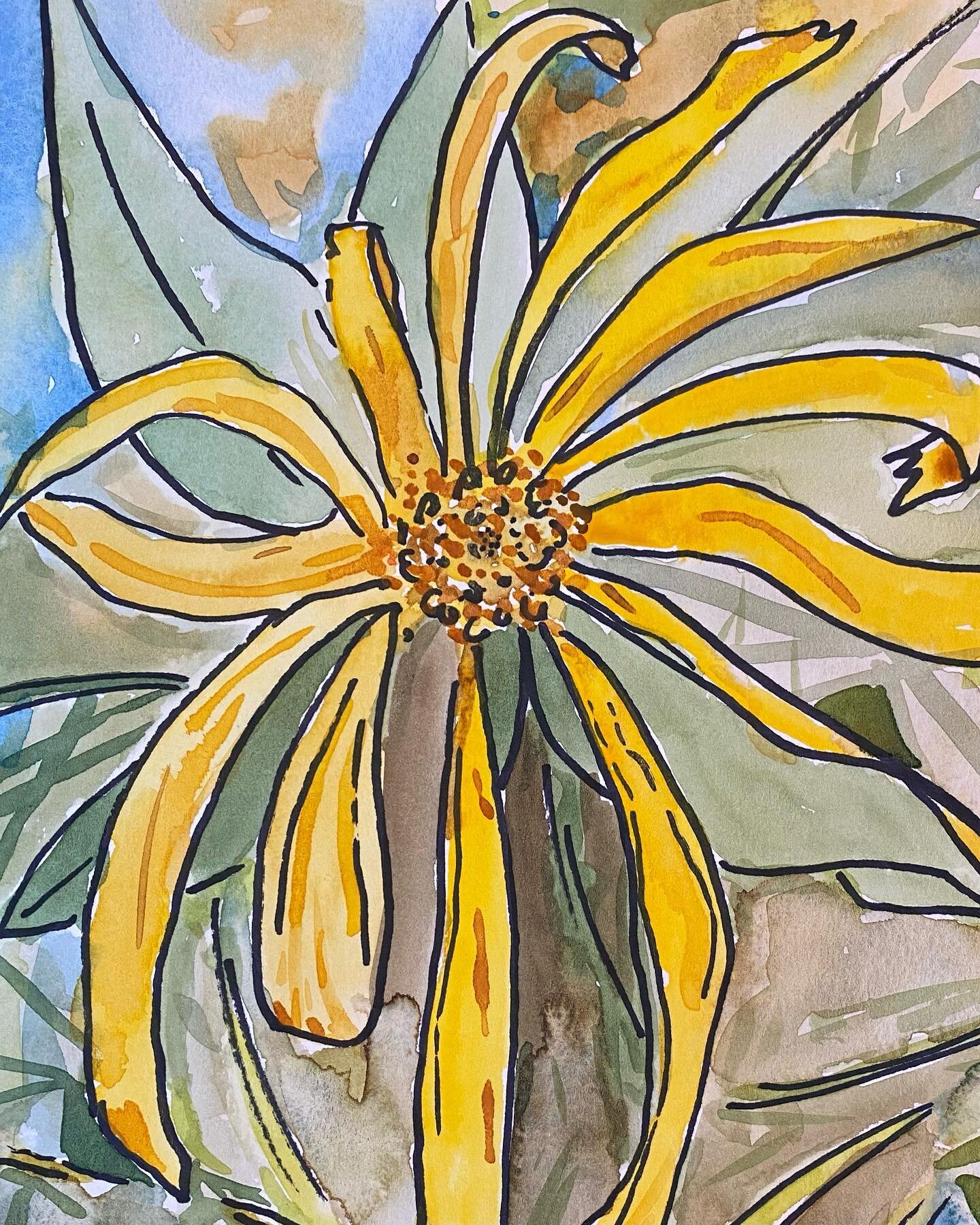 Another watercolor demo for my @richmondartcenter students. We were doing paintings inspired by Georgia O'Keefe's flower closeups. Sharpies + watercolors are a great combo! Good for adding some definition while still getting the great organic color m