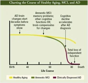 brainlifecourse.jpg