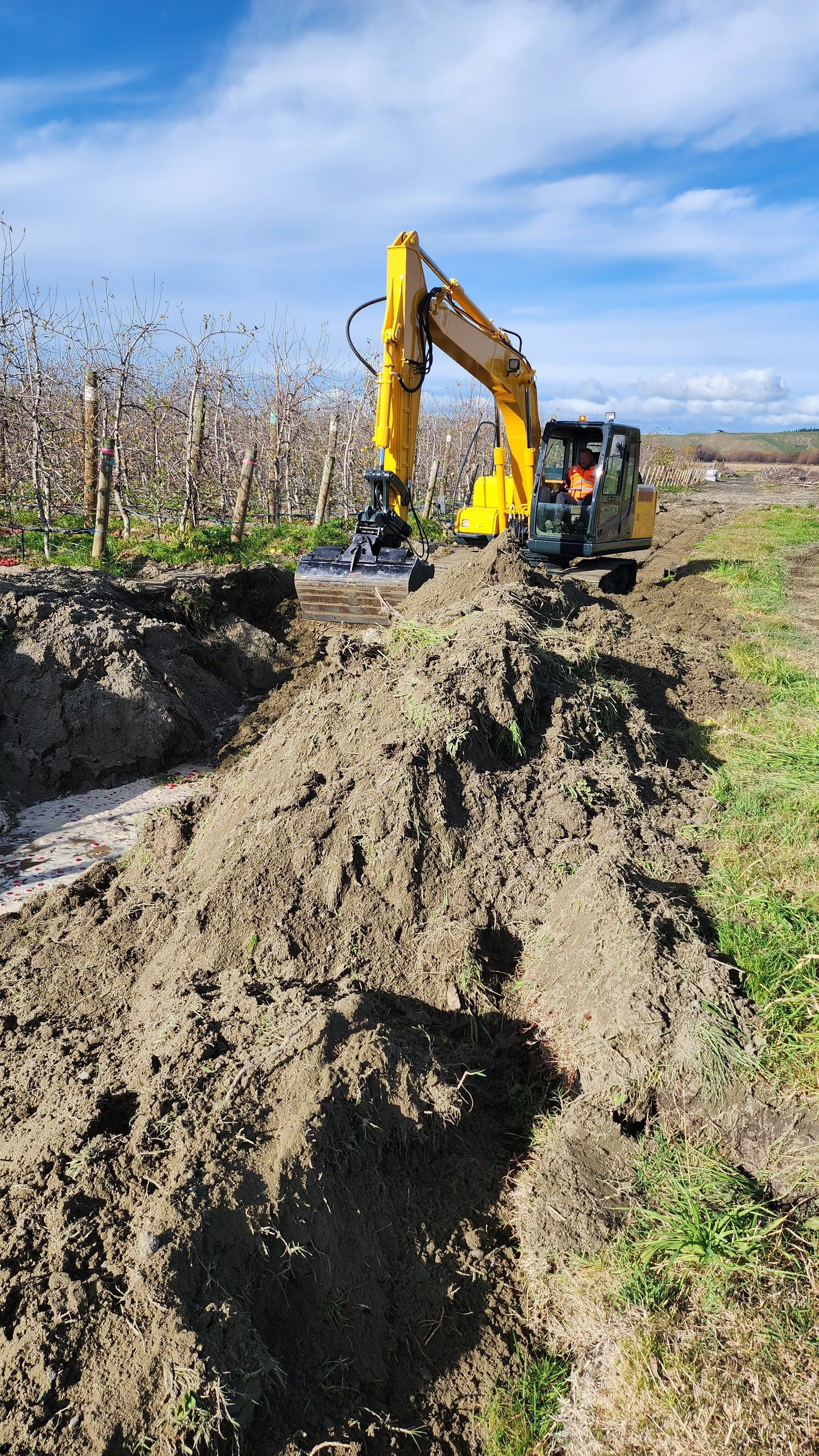 RBS excavator clearing an orchard in Hawke's Bay