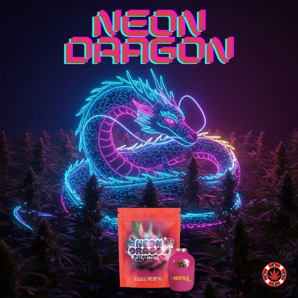 High like a dragon in the sky 🐉