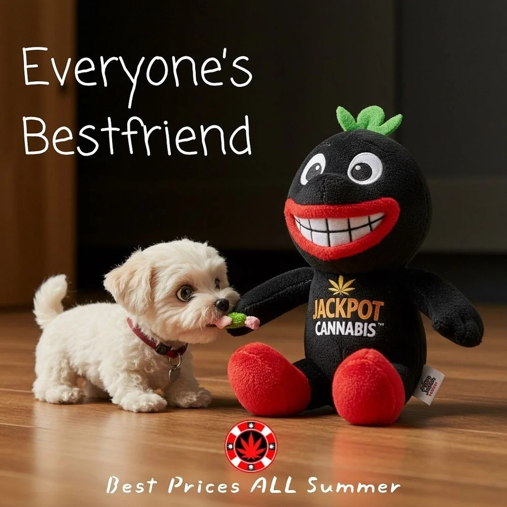 Whether it walks or it sparks, your best bud&rsquo;s always got your back. 🔥🐕 

The Summer Clearout has arrived. 🎰