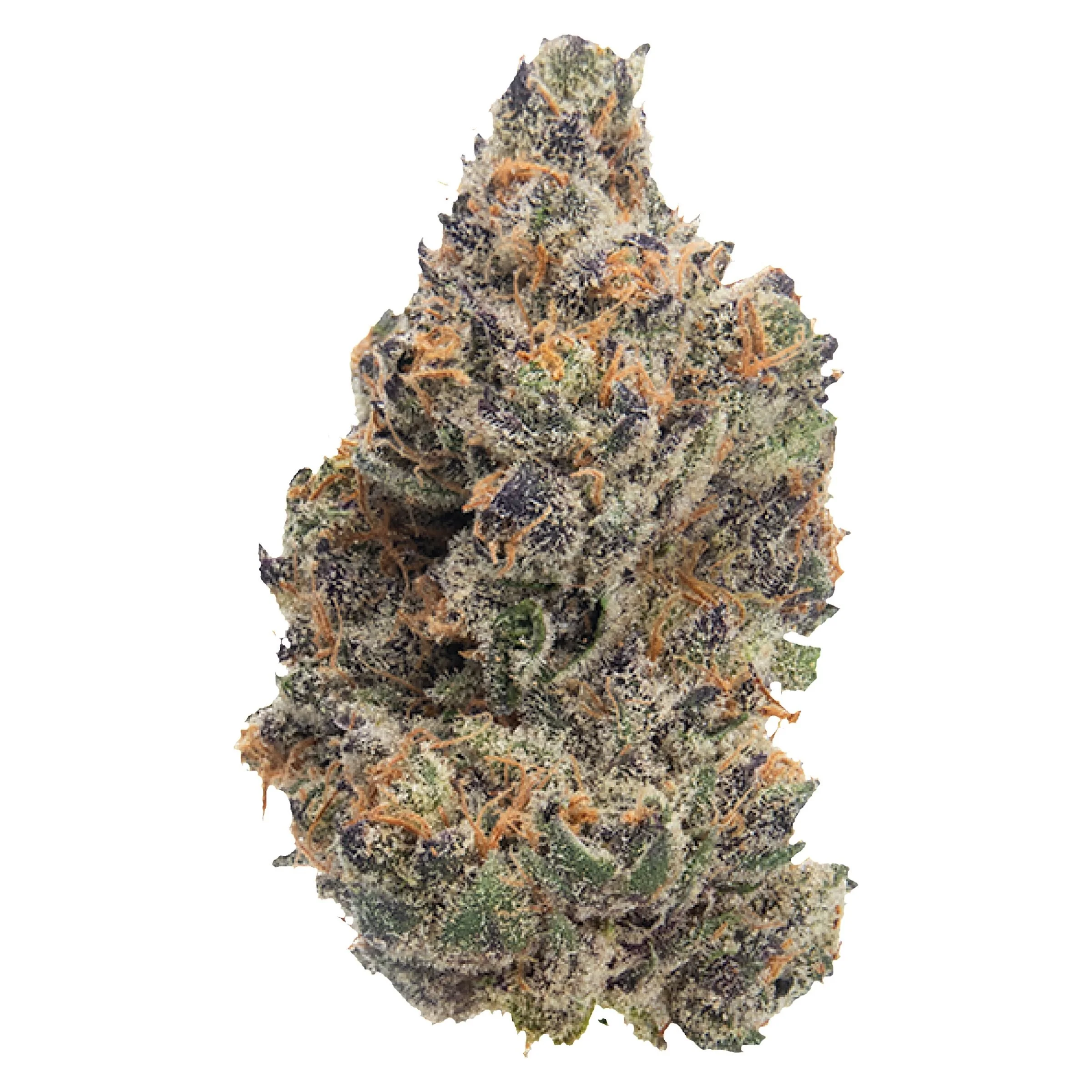 Close-up of a cannabis bud showing green, purple, and orange hues with trichomes and orange hairs.