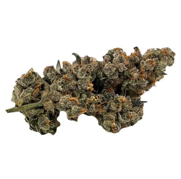 Screenshot 2025-11-26 at 12.19.50 PM.png