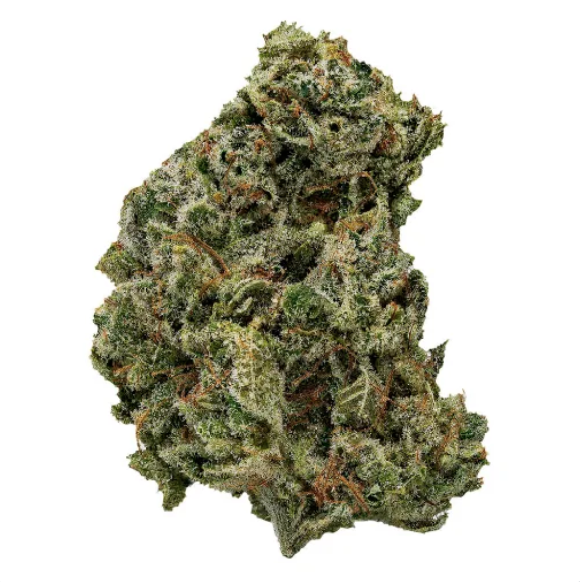 Close-up of a cannabis bud with green, orange, and purple hues covered in trichomes.