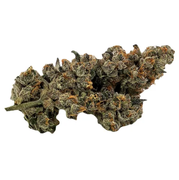 High-quality cannabis flower in 3.5g, 14g, and 28g sizes from Jackpot Cannabis dispensary in Toronto