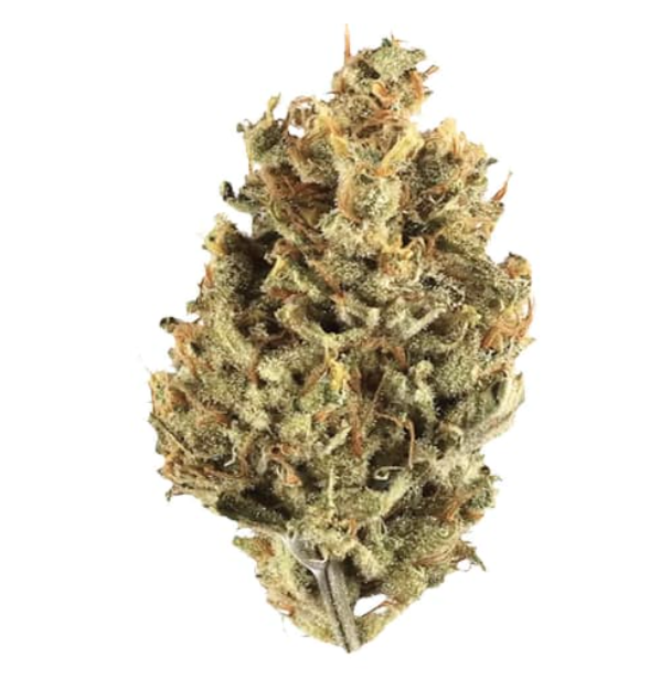 Screenshot 2025-11-26 at 12.24.36 PM.png