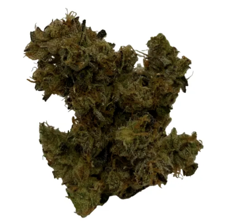 Royal Dive#3: Hindu Glue- HighXotic